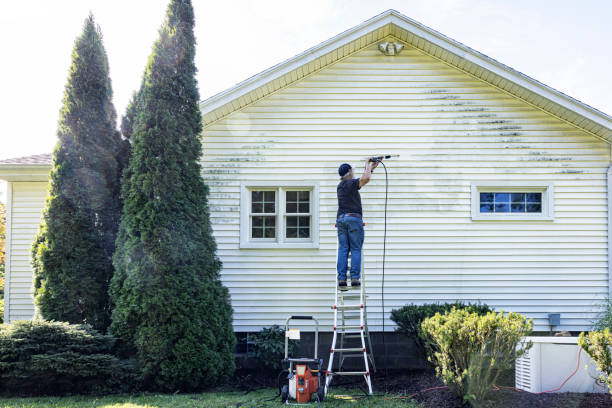 Best Fence Cleaning and Maintenance in Wilmington Island, GA
